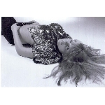 missnet-sejmout0008.jpg
Počet zobrazení: 1516 (6734.7175 dní) pr.=0.2251
Rozměr: 874 x 600 pixel
Velikost: 73.71 kB