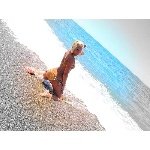 d11.jpg
Po�et zobrazen�: 1430 (5707.1818 dn�) pr.=0.2506
Rozm�r: 600 x 450 pixel
Velikost: 191.148 kB