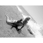 d5.jpg
Po�et zobrazen�: 1349 (5707.1821 dn�) pr.=0.2364
Rozm�r: 600 x 450 pixel
Velikost: 142.136 kB