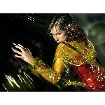 111092479.jpg
Počet zobrazení: 1528 (6490.9402 dní) pr.=0.2354
Rozměr: 600 x 449 pixel
Velikost: 240.197 kB